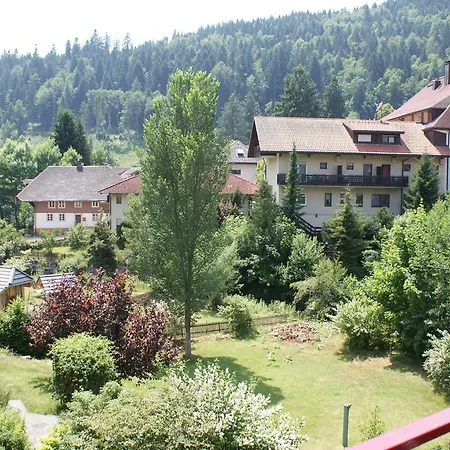 Ferienwohnung Ort Appartamento Todtmoos